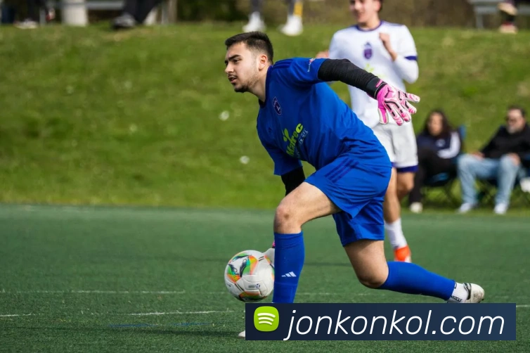 登录器